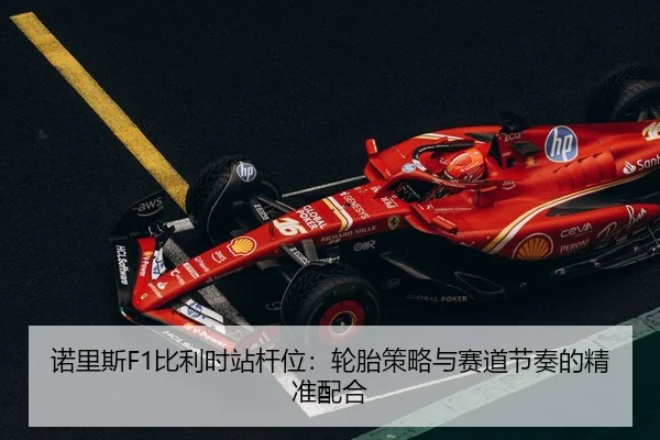 nuo-li-si-bi-li-shi-zhan-gan-wei-lun-tai-ce-lve-yu-sai-dao-jie-zou-de-jing-zhun-pei-he-3-227.jpg